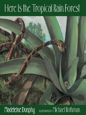 cover image of Here Is the Tropical Rain Forest